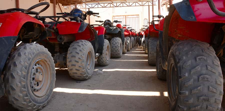 Hurghada: Morning Quad Bike Tour, Camel Ride and Transfer - Transfers from Hurghada and nearby resorts