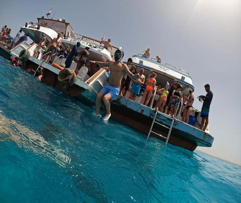 Hurghada or Makadi: Discover the Magic of Dolphin House - Lunch, fruit, and drinks included in the fare