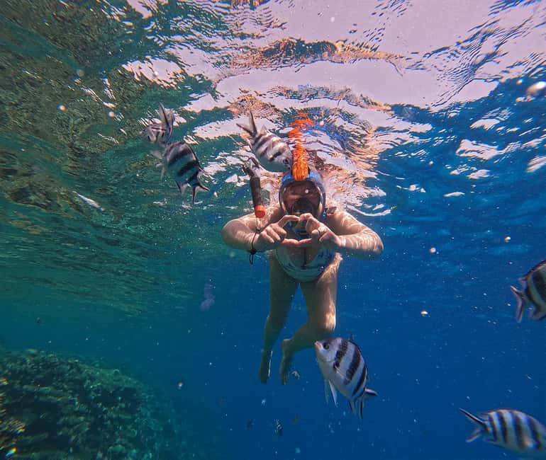 Hurghada or Makadi: Discover the Magic of Dolphin House - A practical packing list