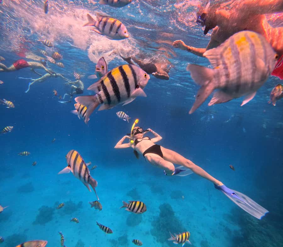 Hurghada: Orange Bay Island Boat Trip w/ Breakfast and Lunch - Lunch aboard the boat