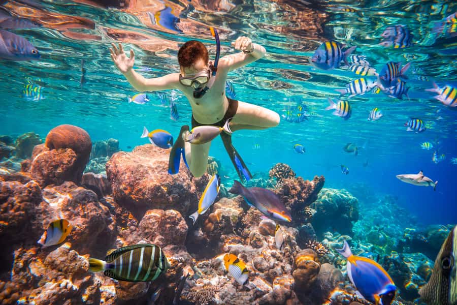 Hurghada: Orange Bay Island Boat Trip w/ Breakfast and Lunch - Who will get the most from this trip