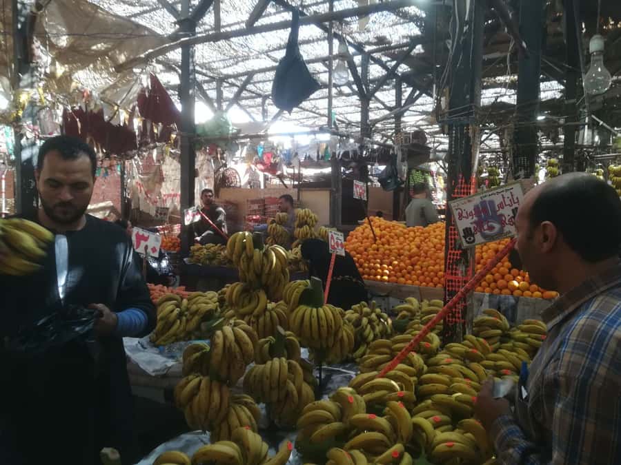 Hurghada: Private Guide City Tour & Shopping Stop - Starting with yachts at the New Marina