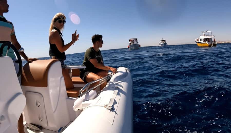 Hurghada: Private Speedboat to Dolphin House with Pickup - Value, comfort, and who should book