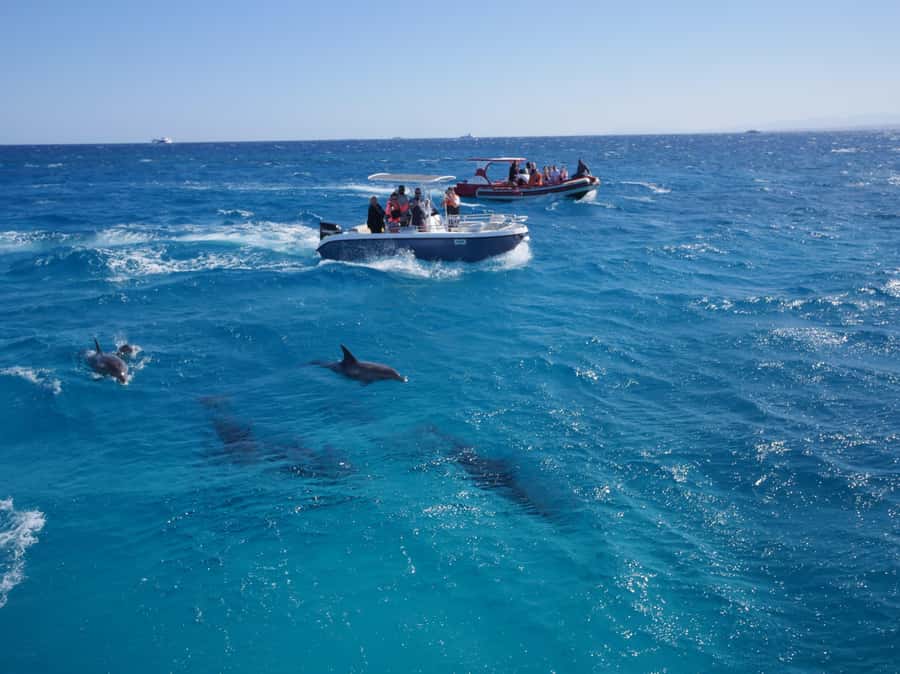 Hurghada: Private Speedboat to Orange Bay and White Island - Parasailing and the View From Above