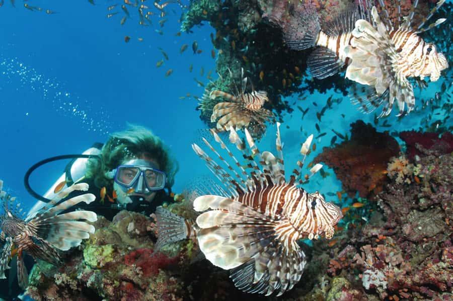 Hurghada, Professionals Diving in Open Water Tour with Lunch - Is $72 a fair price?