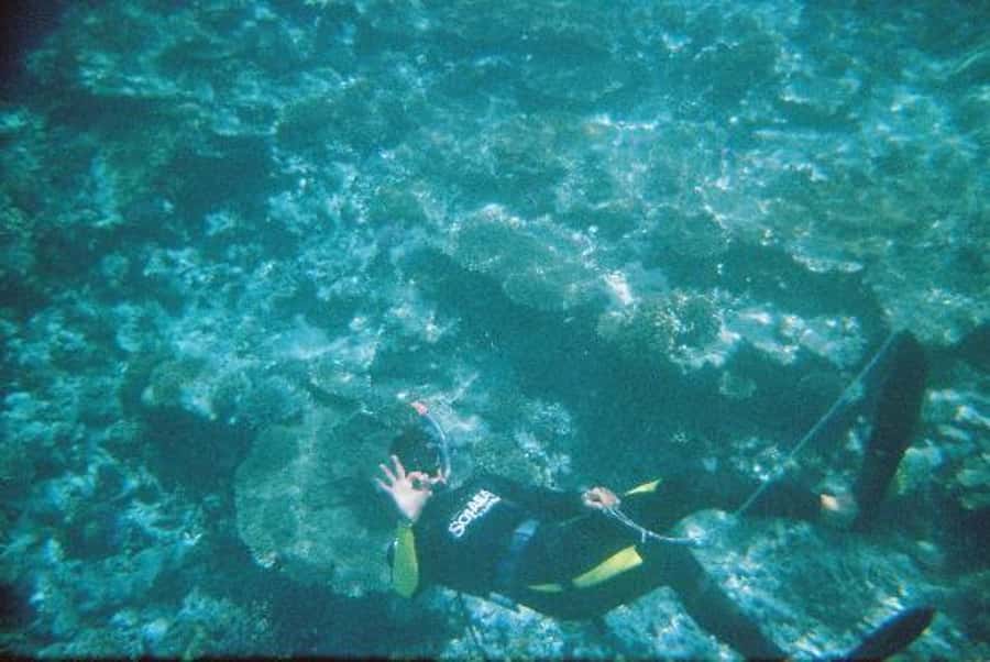 Hurghada, Professionals Diving in Open Water Tour with Lunch - What this Hurghada boat day is really like