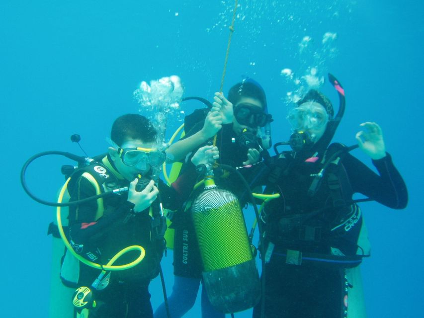 Hurghada, Professionals Diving in Open Water Tour with Lunch - Languages and communication