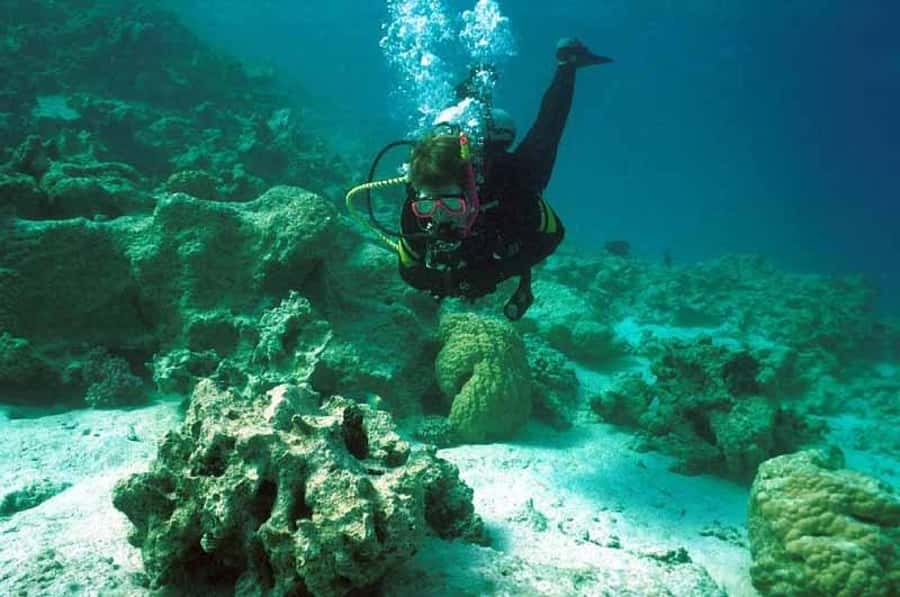 Hurghada, Professionals Diving in Open Water Tour with Lunch - Hotel pickup and the ride to the Red Sea