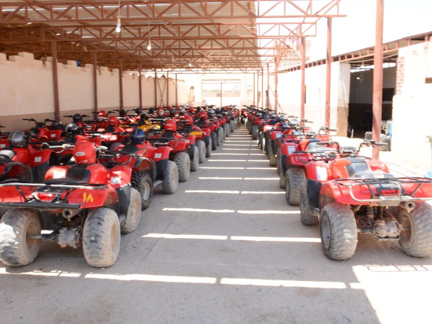 Hurghada Quad & ATV Ride with Camel, Desert Vibes & Sea View - Transfers save effort, but timing needs patience