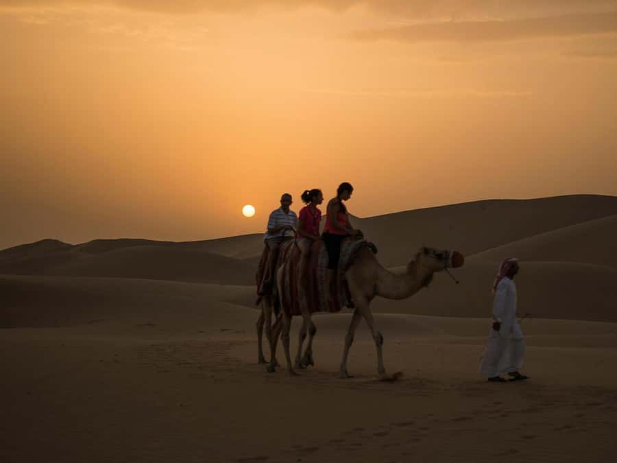 Hurghada: Quad Bike, Camel, Show, Dinner, & Stargazing Trip - What the $16 price really covers
