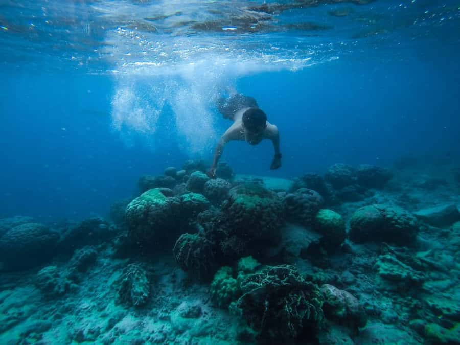 Hurghada: Royal Orange Bay with Massage, Snorkeling & Lunch - From hotel reception to the Red Sea