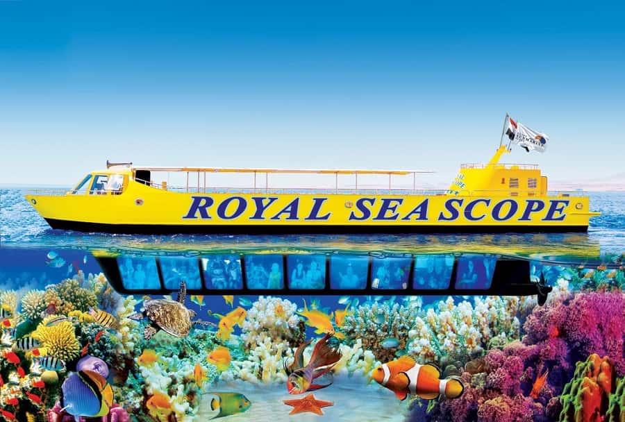 Hurghada: Royal Seascope Submarine Cruise with Snorkel Stop - What this Hurghada semi-submarine cruise is really like