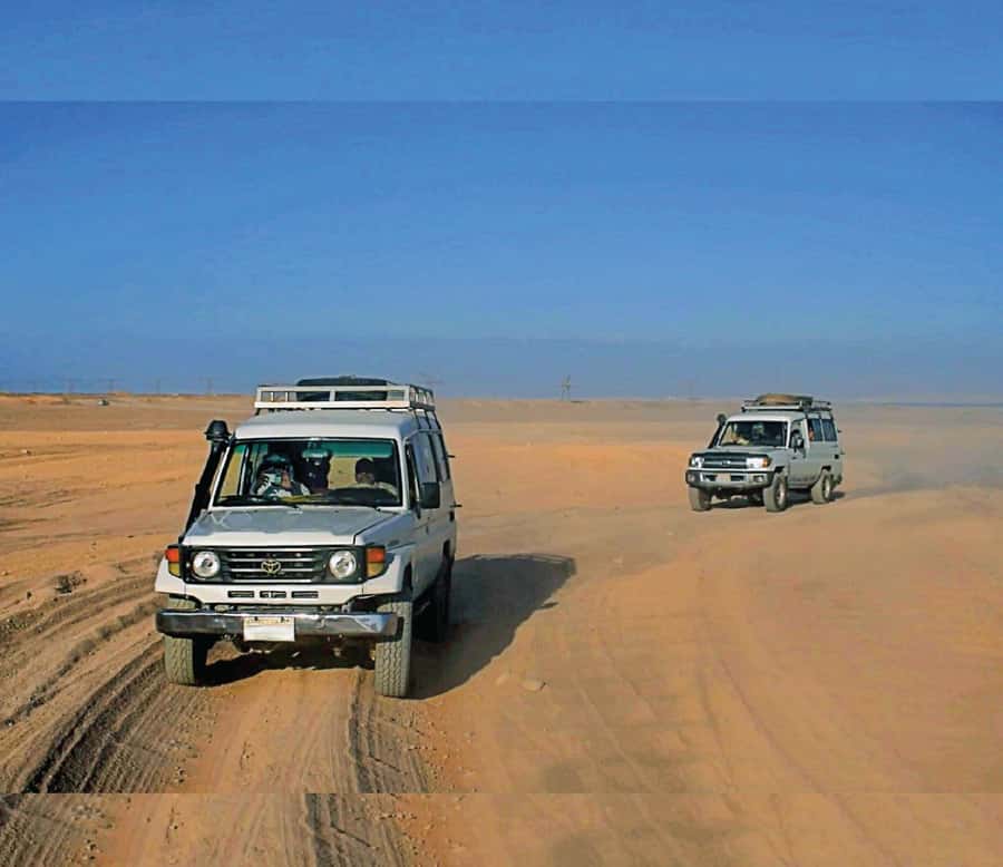 Hurghada: Safari Jeep & Camel Ride with BBQ Dinner & Show - BBQ dinner, Arabic tea, and the evening show