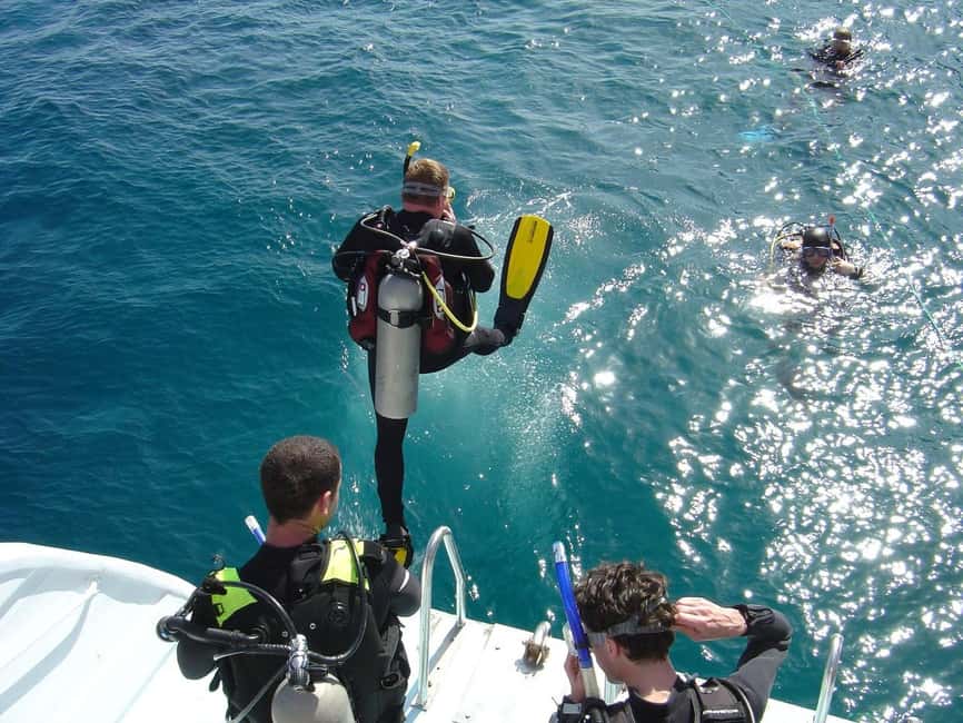 Hurghada: Scuba Diving for Beginners & Certified Divers - The human side of the instruction
