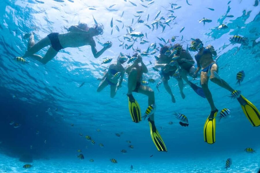 Hurghada: Scuba Diving for Beginners & Certified Divers - What the first session feels like