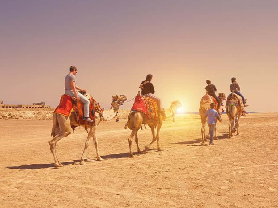 Hurghada: Sea & Desert Camel Ride w/Dinner, Show, Stargazing - Riding from Hurghada into the Eastern Desert