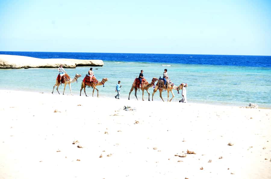 Hurghada: Sea & Desert Camel Ride w/Dinner, Show, Stargazing - Should you book it?