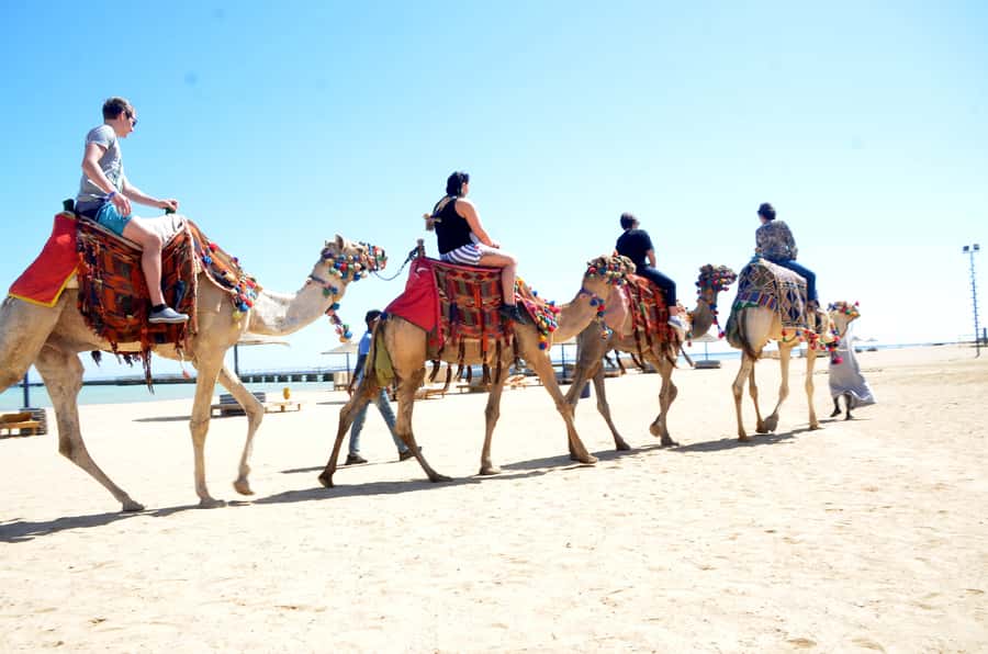 Hurghada: Sea & Desert Camel Ride w/Dinner, Show, Stargazing - Dinner, dancing, and the night sky
