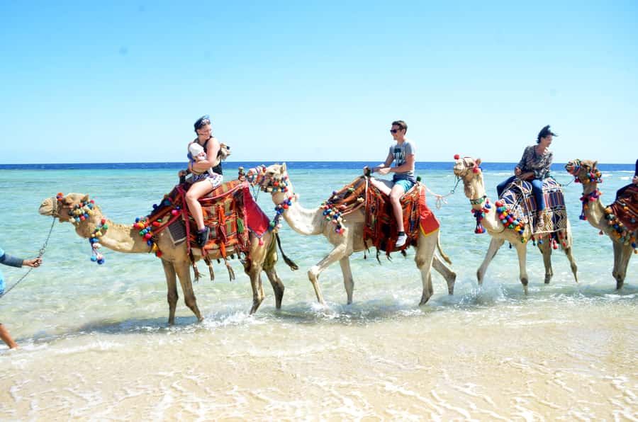 Hurghada: Sea & Desert Camel Ride w/Dinner, Show, Stargazing - What to wear and bring