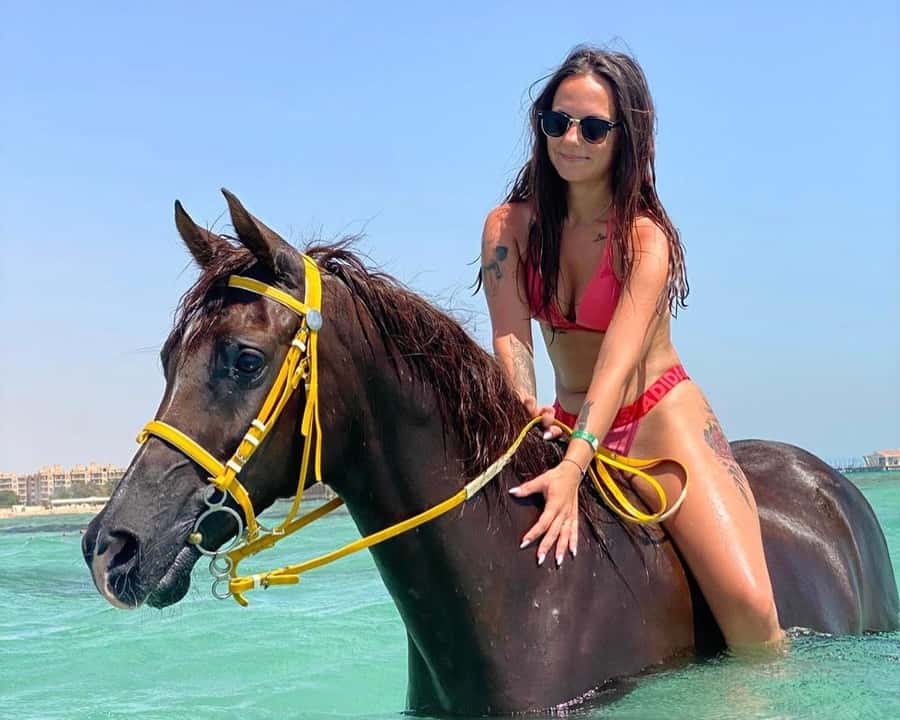 Hurghada: Sea & Desert Horse Riding tour/w Swimming&Transfer - Key points at a glance