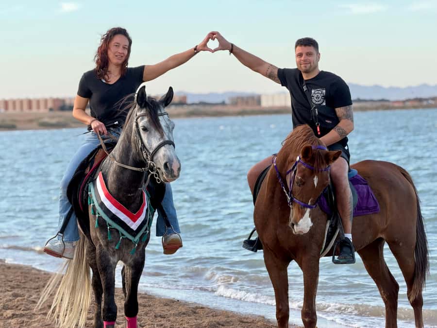 Hurghada: Sea & Desert Horse Riding tour/w Swimming&Transfer - The horses and animal welfare