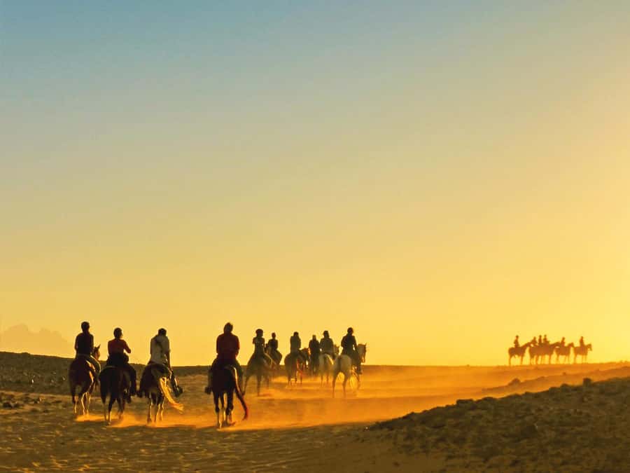 Hurghada: Sea & Desert Horse Tour, Stargazing, Dinner & Show - Key points at a glance
