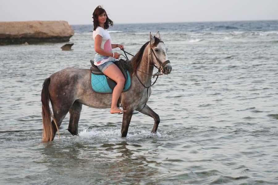 Hurghada: Sea & Desert Horse Tour, Stargazing, Dinner & Show - From hotel lobby to desert stable