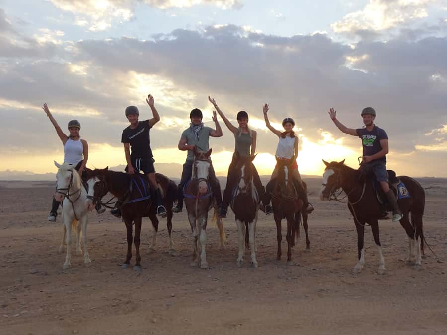 Hurghada: Sea & Desert Horse Tour, Stargazing, Dinner & Show - Sunrise at 5:00 AM, with breakfast afterward