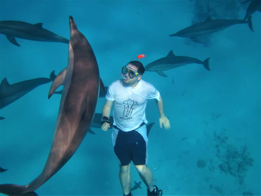 Hurghada: Speedboat Dolphin Watching & Snorkeling with Lunch - Two reef stops, with real time in the water