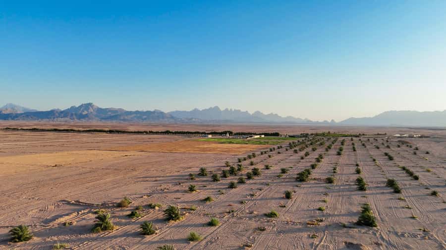 Hurghada: Star Stargazing Desert Adventure by Jeep & Dinner - Is $48 a good price for this evening?