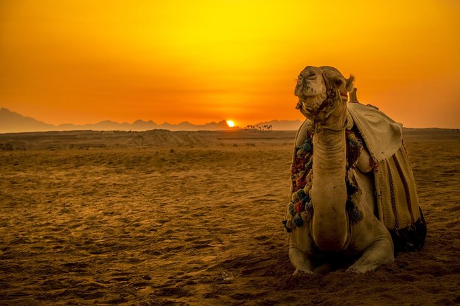 Hurghada: Star Watching Desert Adventure by Jeep with Dinner - Key points before you book