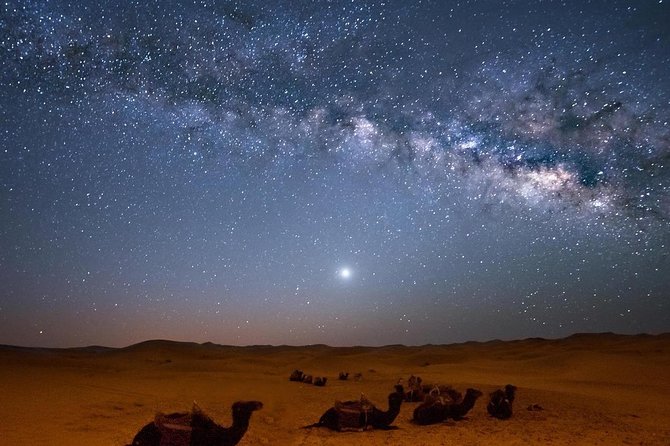 Hurghada: Star Watching Desert Adventure by Jeep with Dinner - A budget desert night beyond Hurghada