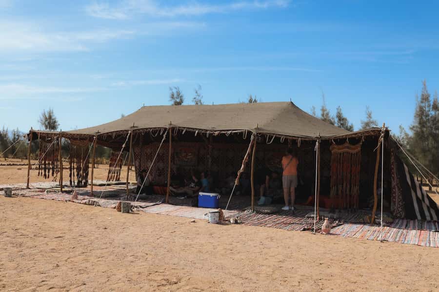 Hurghada: Sunset Camel Ride with Dinner - Who will enjoy this outing most