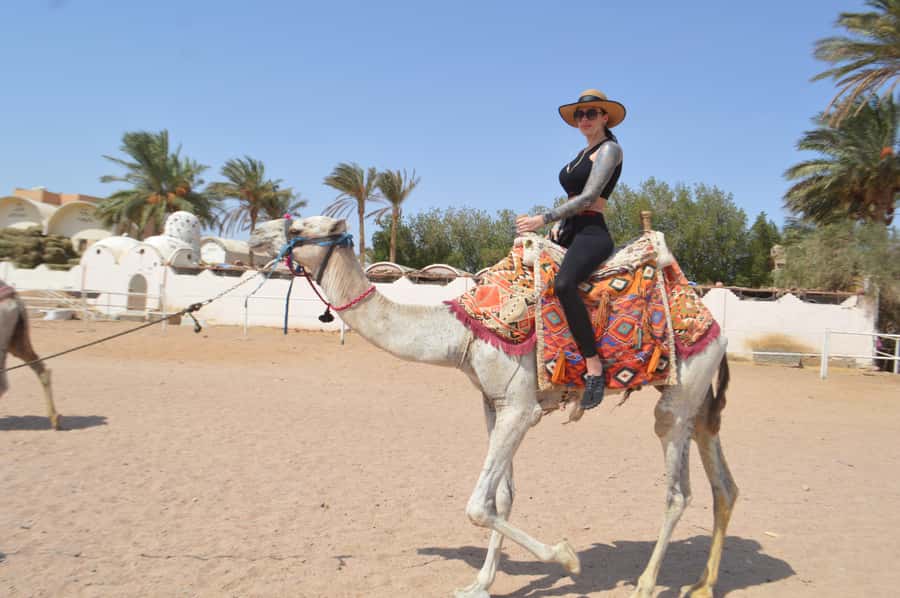 Hurghada: Sunset Quad Bike, Camel w/ Opt Stargazing and BBQ - Photography and the extra-cost details