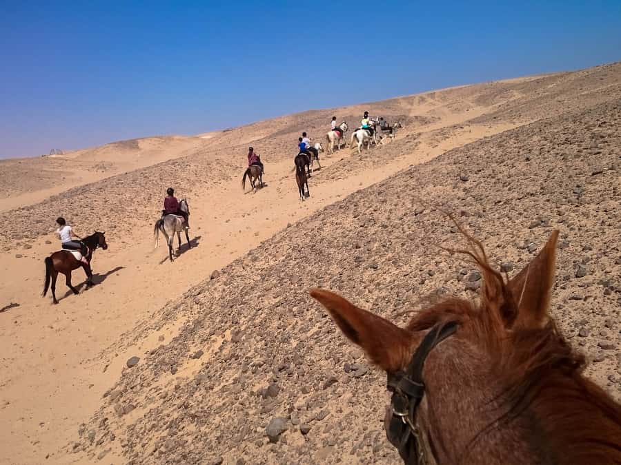 Hurghada: Sunset Sea, Desert Horse W Opt, Dinner, Stargazing - Who should book this ride?
