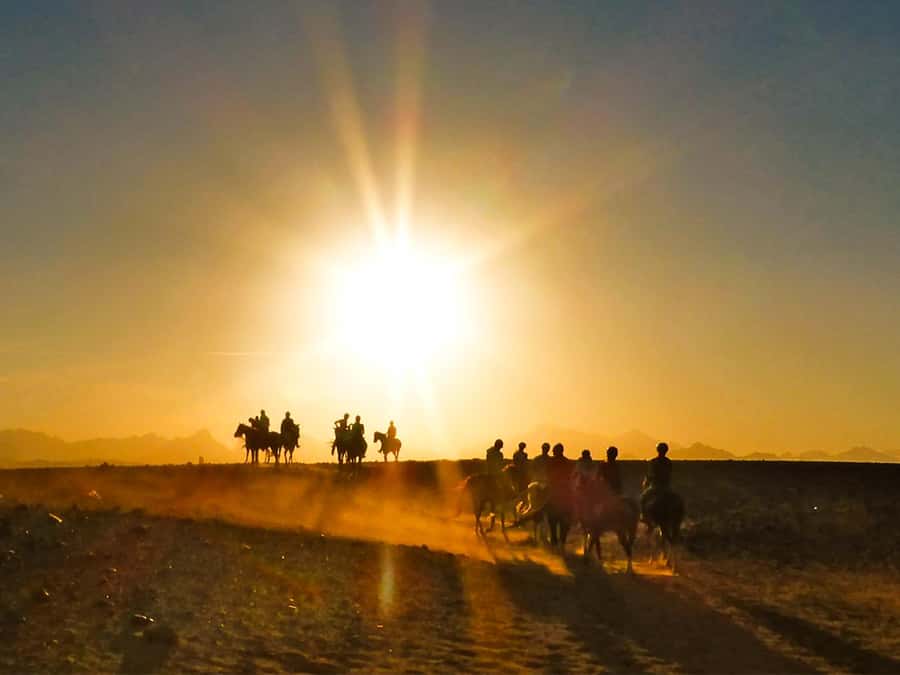 Hurghada: Sunset Sea, Desert Horse W Opt, Dinner, Stargazing - Sunrise, breakfast, and the shorter morning option