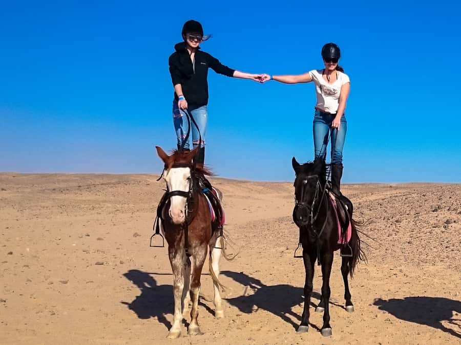 Hurghada: Sunset Sea, Desert Horse W Opt, Dinner, Stargazing - What the VIP four-hour option adds