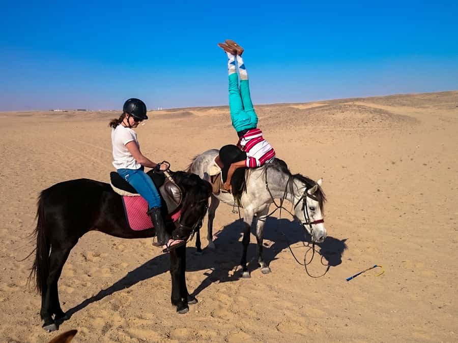 Hurghada: Sunset Sea, Desert Horse W Opt, Dinner, Stargazing - Dinner, dancing, and stargazing after the ride