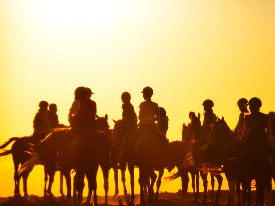 Hurghada: Sunset Sea, Desert Horse W Opt, Dinner, Stargazing - Horses, instruction, and safety