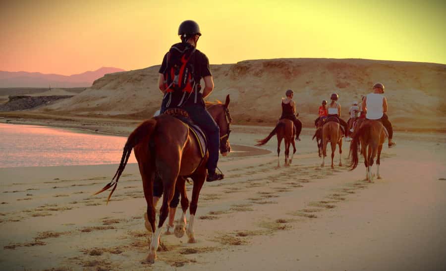 Hurghada: Sunset Sea, Desert Horse W Opt, Dinner, Stargazing - Is $29 good value?