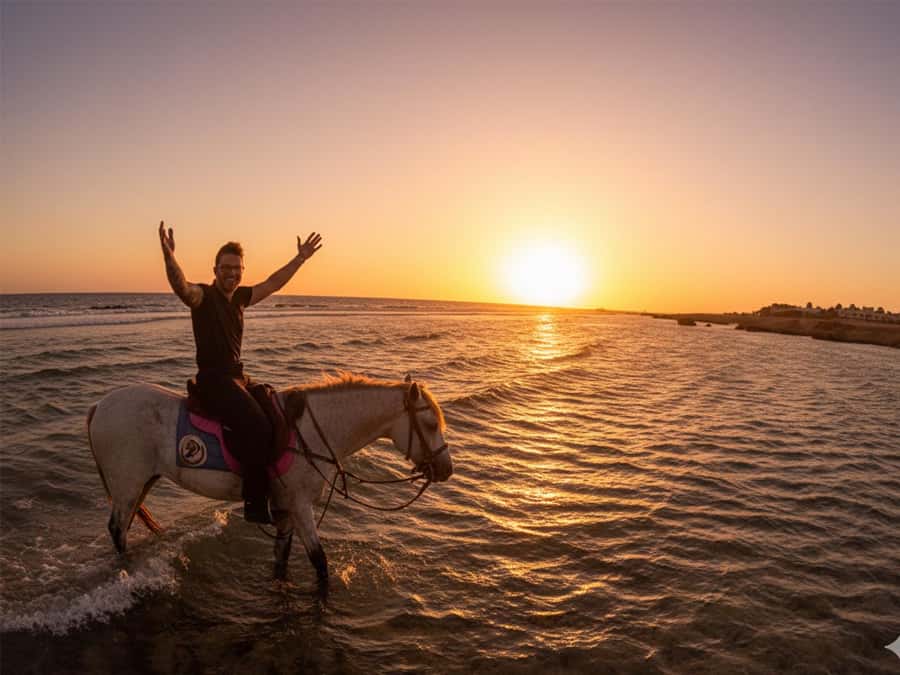Hurghada: Sunset Sea, Desert Horse W Opt, Dinner, Stargazing - Why sunset makes the two-hour ride worthwhile