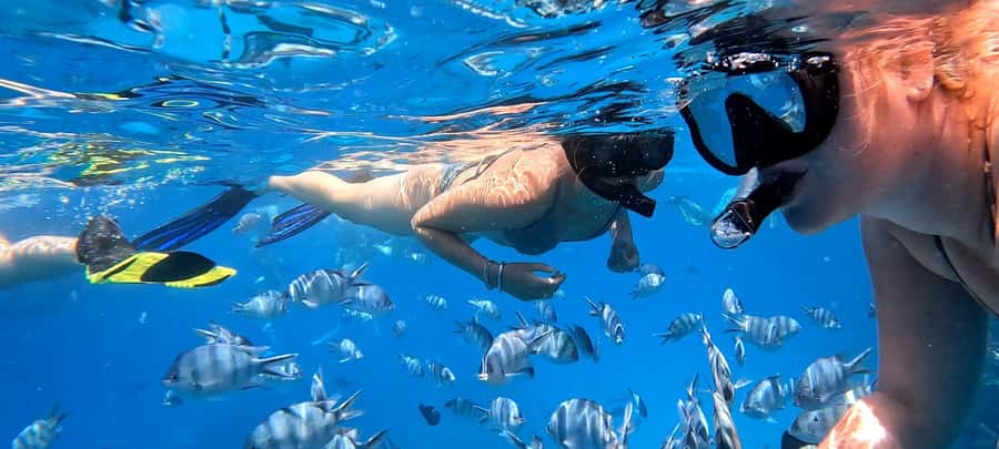 Hurghada: White Island Speedboat Tour, Snorkeling, & Lunch - Is $180 good value for two?