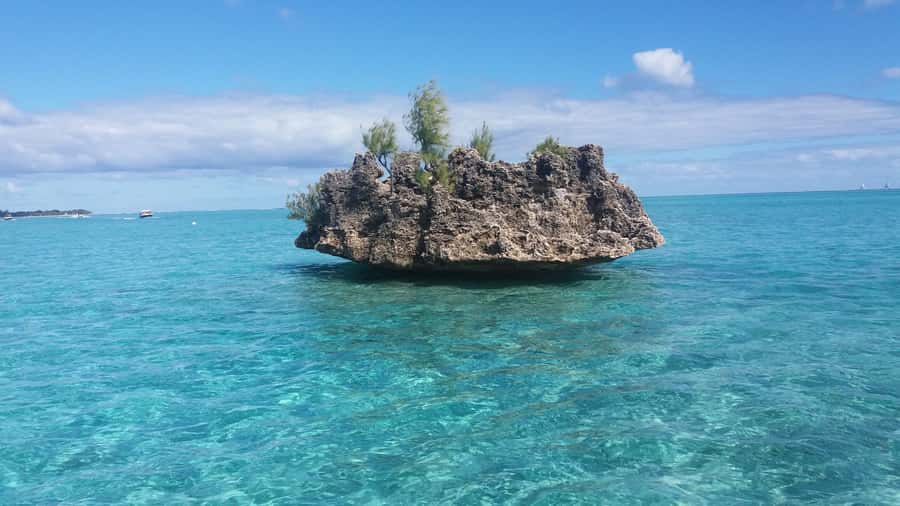 Île aux Bénitiers: Snorkeling w/Dolphins Boat Tour & Lunch - What $115 includes, and where the value lies