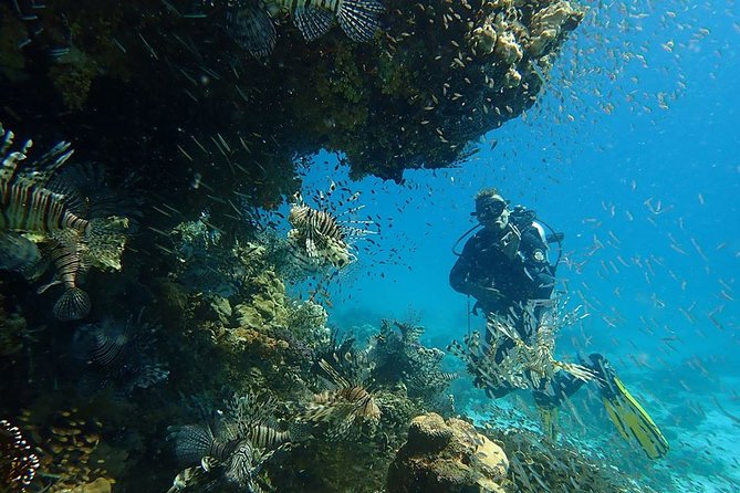 Intro Diving 2 Stops For Beginners with Pick-up and Lunch - Hurghada - Between sessions: lunch, drinks, and waiting time