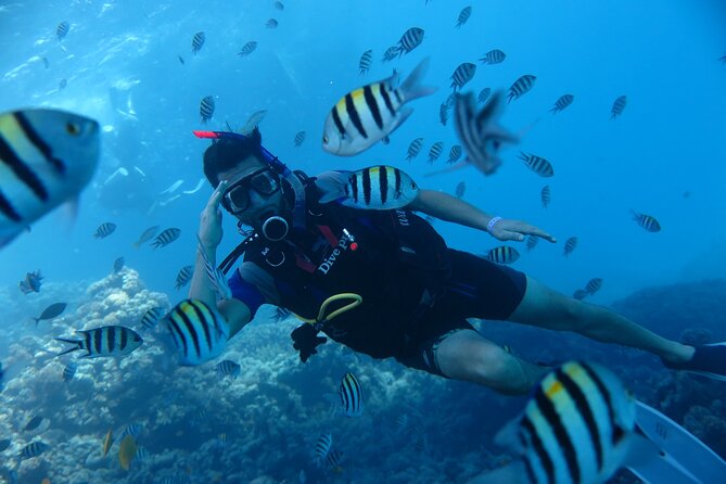 Intro Diving 2 Stops For Beginners with Pick-up and Lunch - Hurghada - What the Red Sea experience is really like
