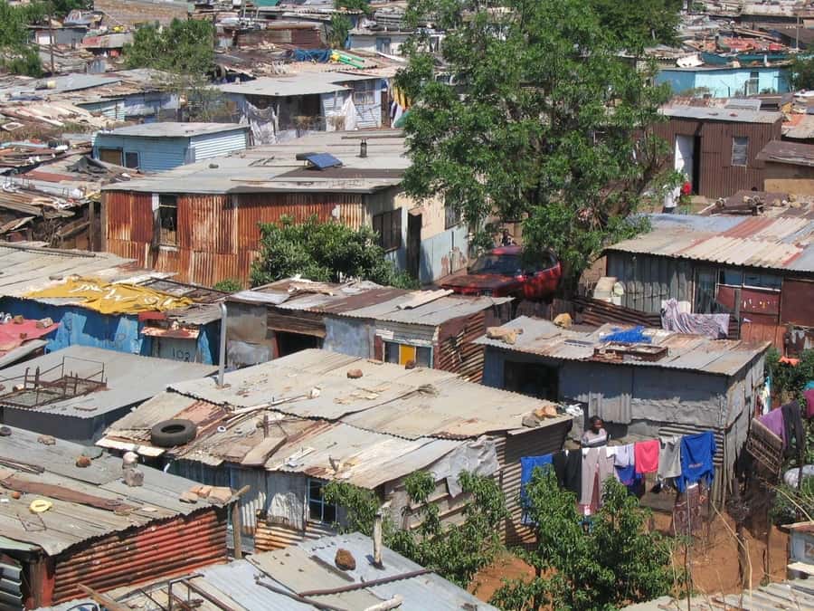 Johannesburg and Soweto: Half-Day Tour - Who should book this Johannesburg tour?