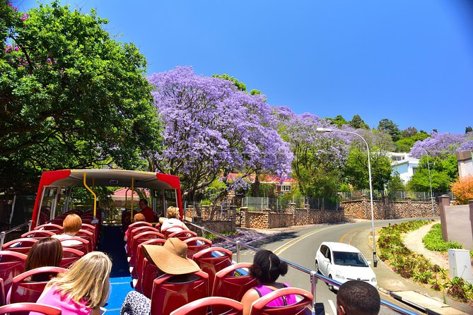 Johannesburg Hop-On Hop-Off City Tour with Soweto Option - What the Soweto extension adds