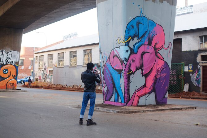 Johannesburg: Maboneng Street Art & Culture Tour - Why Maboneng makes a smart first stop in Johannesburg