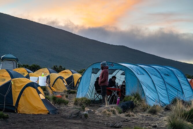 Kilimanjaro climb by Lemosho Route (7-day) - Day 2: Londorossi Gate to Shira 1