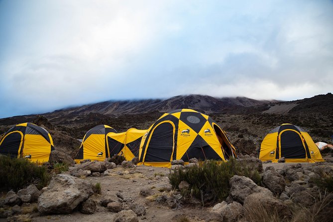 Kilimanjaro climb, Machame Route (7-day) - Day 1: Machame Gate to Machame Camp